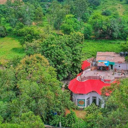 Roots Hostel Yeni Delhi Dış mekan fotoğraf